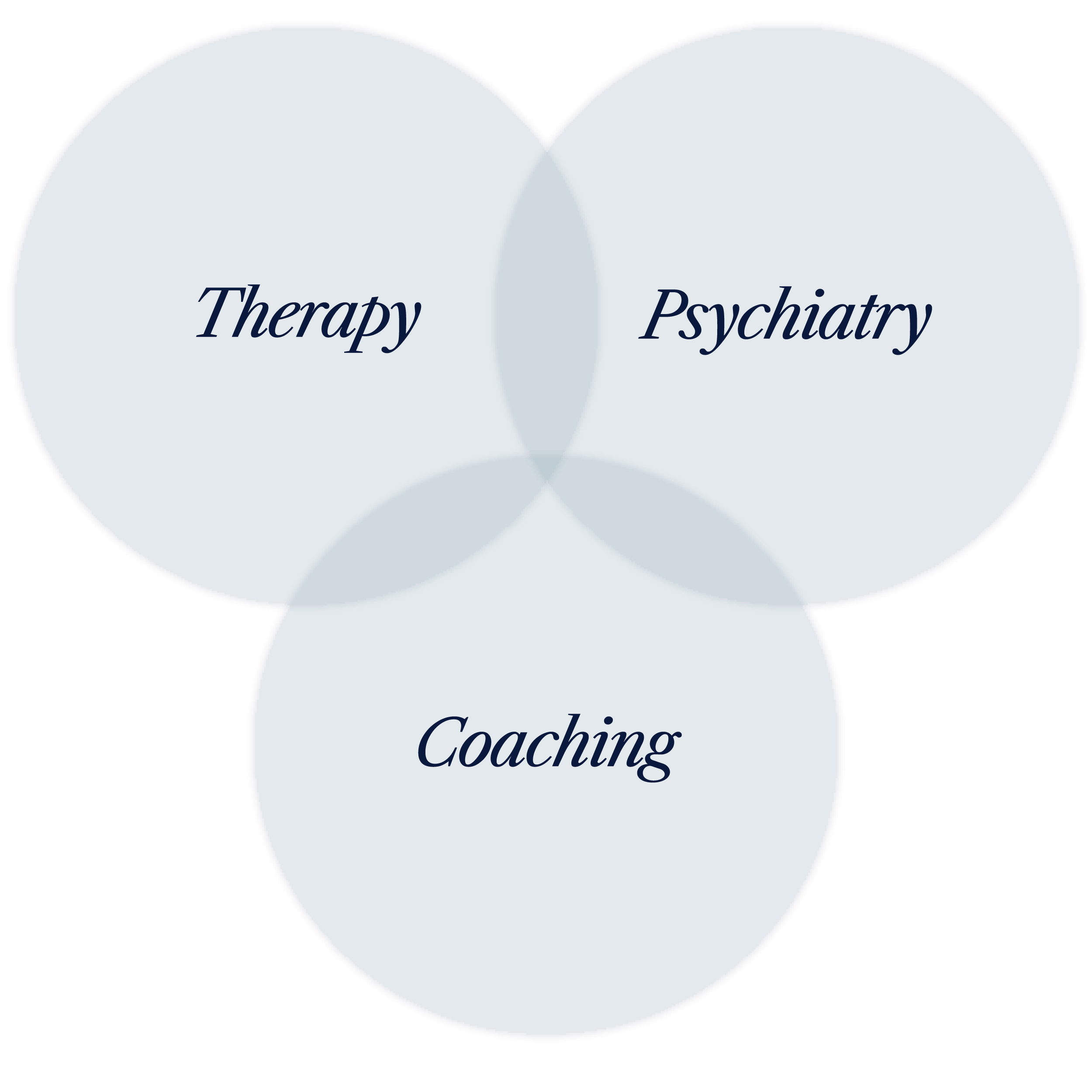2026_HealthyMindsNYC Therapy Pyschiatry Coaching Services