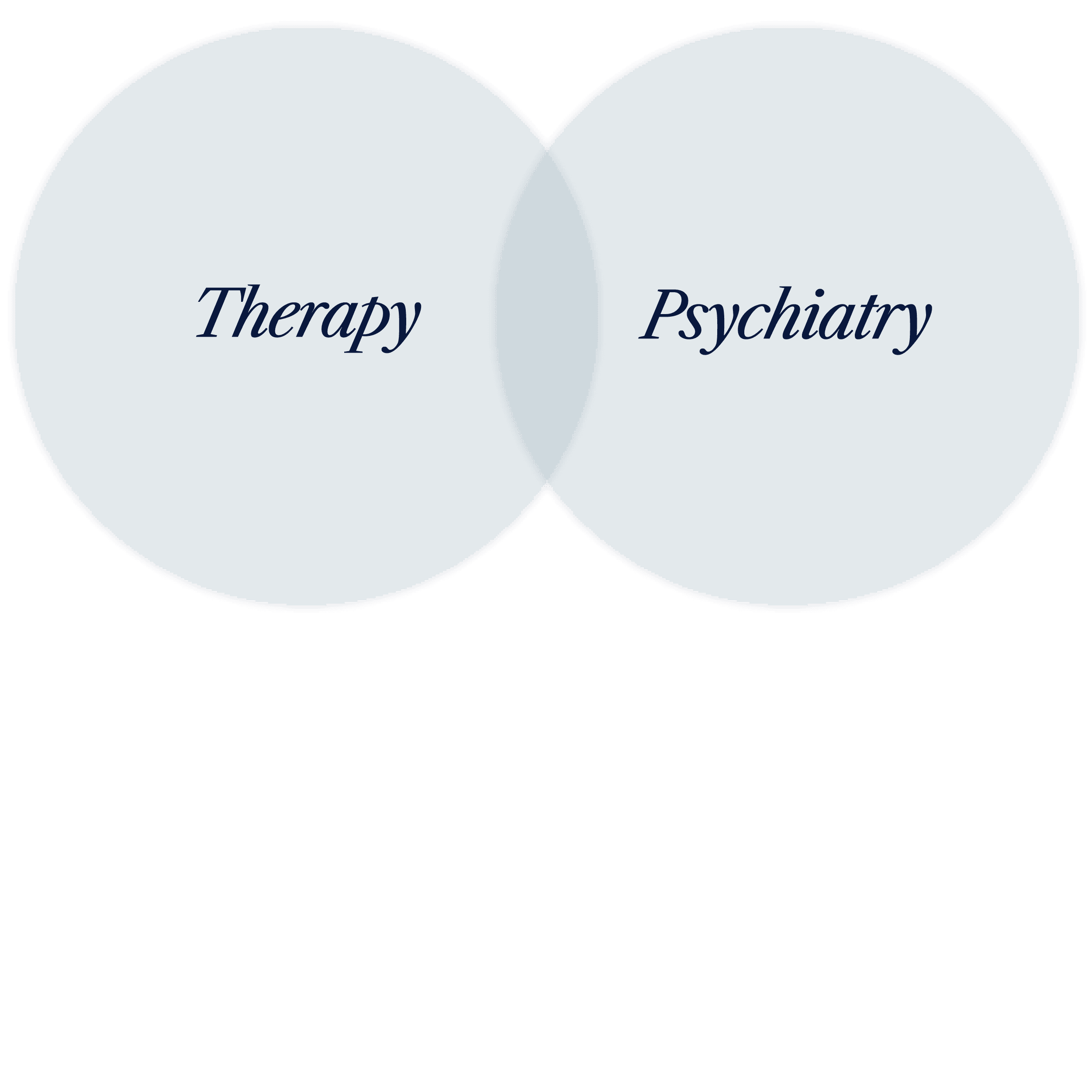 2026_HealthyMindsNYC Therapy Pyschiatry Services