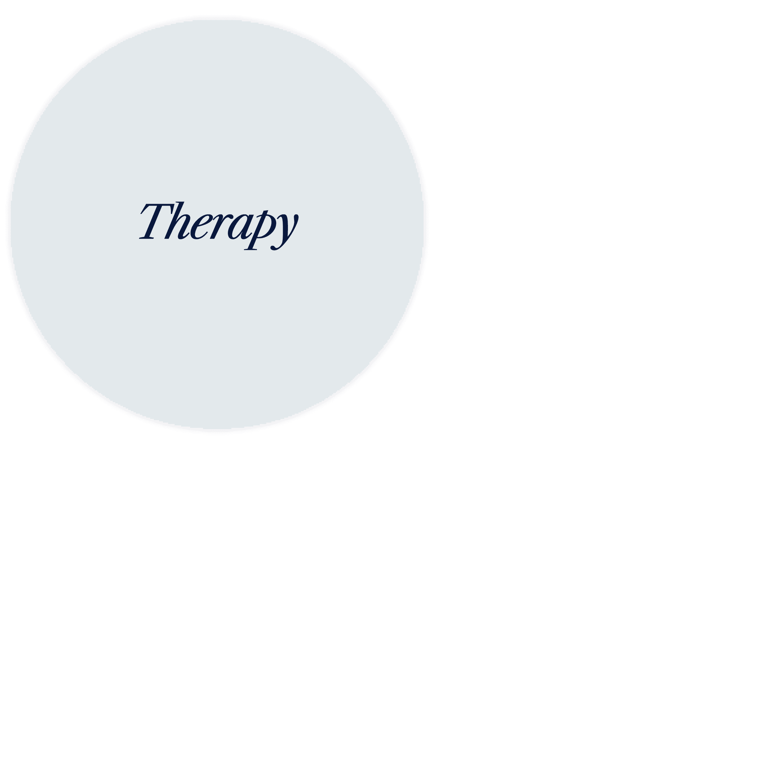 2026_HealthyMindsNYC Therapy Services