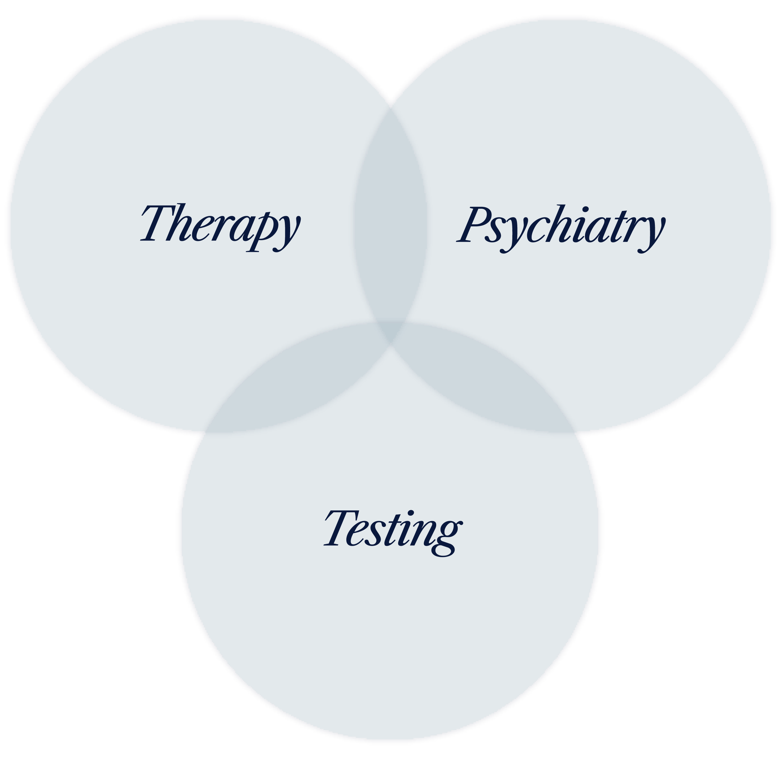2026_HealthyMindsNYC-Therapy-Pyschiatry-Testing-Services | Healthy Minds NYC